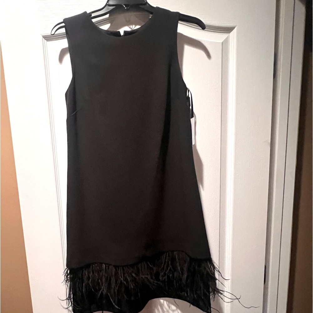New with tags. Calvin Klein sleeves dress with feather fringe.